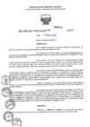 Vista preliminar de documento RD N°000733-2025-UGELJ