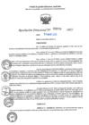 Vista preliminar de documento RD N°000739-2025-UGELJ
