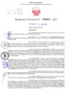 Vista preliminar de documento Resolución Directoral. N° 000943 - 2025 