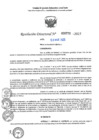 Vista preliminar de documento RD N°000775-2025-UGELJ