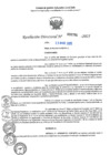 Vista preliminar de documento RD N°000786-2025-UGELJ