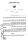 Vista preliminar de documento RD N°000796-2025-UGELJ