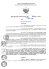Vista preliminar de documento RD N°000803-2025-UGELJ