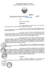 Vista preliminar de documento RD N°000837-2025-UGELJ