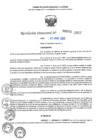 Vista preliminar de documento RD N°000876-2025-UGELJ