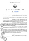 Vista preliminar de documento RD N°000879-2025-UGELJ