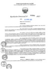Vista preliminar de documento RD N°000880-2025-UGELJ