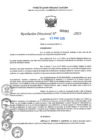 Vista preliminar de documento RD N°000881-2025-UGELJ