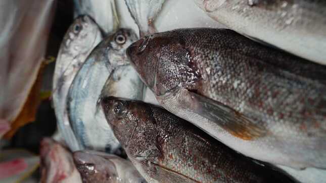 NutriTips pescado