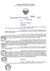 Vista preliminar de documento RD N°000904-2025-UGELJ