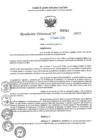 Vista preliminar de documento RD N°000907-2025-UGELJ