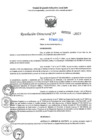 Vista preliminar de documento RD N°000916-2025-UGELJ