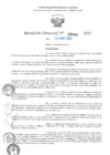 Vista preliminar de documento RD N°000969-2025-UGELJ