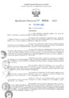 Vista preliminar de documento RD N°000976-2025-UGELJ