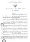 Vista preliminar de documento RD N°000981-2025-UGELJ