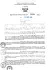Vista preliminar de documento RD N°000991-2025-UGELJ