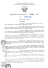 Vista preliminar de documento RD N°000990-2025-UGELJ