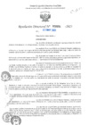 Vista preliminar de documento RD N°000994-2025-UGELJ