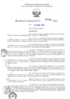 Vista preliminar de documento RD N°001004-2025-UGELJ