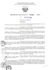 Vista preliminar de documento RD N°001006-2025-UGELJ