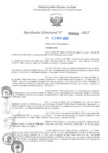 Vista preliminar de documento RD N°001020-2025-UGELJ