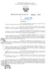 Vista preliminar de documento RD N°001033-2025-UGELJ