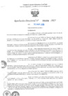Vista preliminar de documento RD N°001036-2025-UGELJ