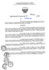 Vista preliminar de documento RD N°001265-2025-UGELJ