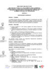 Vista preliminar de documento Directiva Nº 0004 2025 EF 54.01