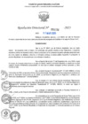 Vista preliminar de documento RD N°001330-2025-UGELJ
