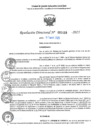 Vista preliminar de documento RD N°001459-2025-UGELJ