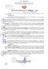 Vista preliminar de documento Resolución Directoral. N° 000919 - 2025
