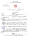 Vista preliminar de documento Resolución Directoral. N° 000924 - 2025 