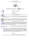 Vista preliminar de documento Resolución Directoral. N° 000850 - 2025