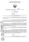 Vista preliminar de documento RD N°002051-2025-UGELJ