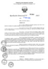 Vista preliminar de documento RD N°002087-2025-UGELJ