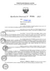 Vista preliminar de documento RD N°002094-2025-UGELJ