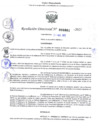 Vista preliminar de documento Resolución Directoral. N° 000861 - 2025 