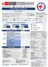 Vista preliminar de documento REPORTE GTGRD 17-04 TURNO DIA