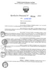 Vista preliminar de documento RD N°002166-2025-UGELJ