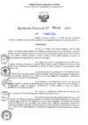 Vista preliminar de documento RD N°002209-2025-UGELJ