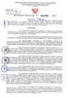 Vista preliminar de documento Resolución Directoral. N° 001008 - 2025 