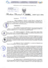 Vista preliminar de documento Resolución Directoral. N° 000991 - 2025 