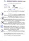 Vista preliminar de documento Resolución Directoral. N° 000993 - 2025 