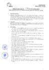 Vista preliminar de documento DIRECTIVA Nº 09-2023