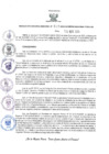 Vista preliminar de documento RER N° 917-2023, DIRECTIVA REGIONAL N° 007-2023