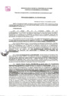 Vista preliminar de documento GDE-134-25