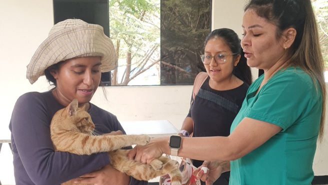 doctora atendiendo a una mascota