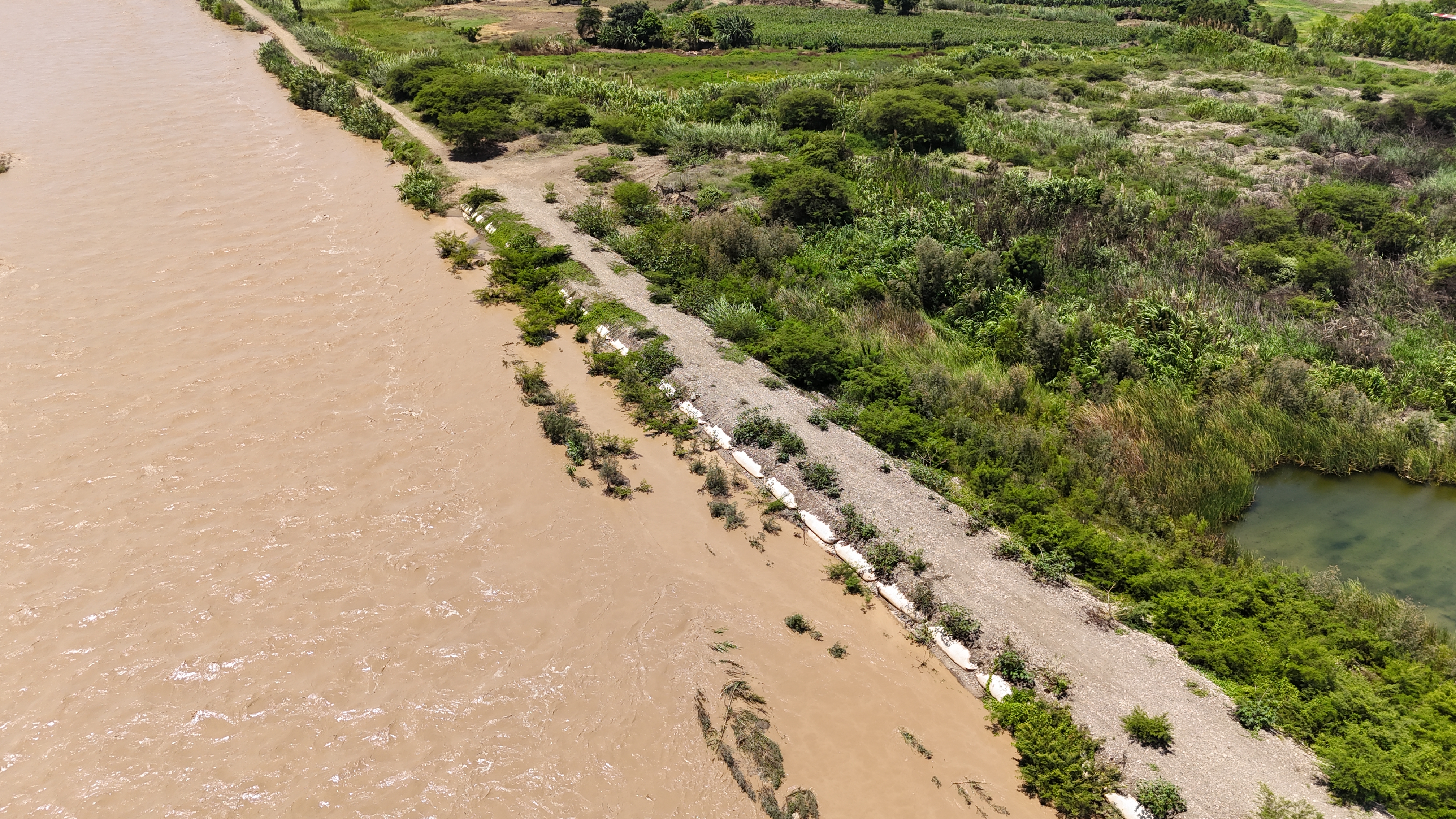 Dique de geobolsas permitieron la libre conducción del recurso hídrico y evitó el desborde del río y la afectación en áreas de cultivo 