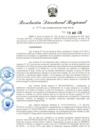 Vista preliminar de documento RDR-249-2025
